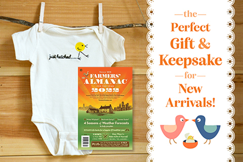 just hatched baby onsie gift set